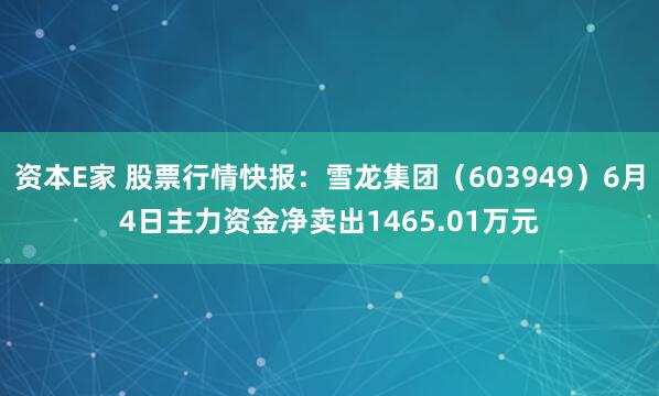 资本E家 股票行情快报：雪龙集团（603949）6月4日主力资金净卖出1465.01万元