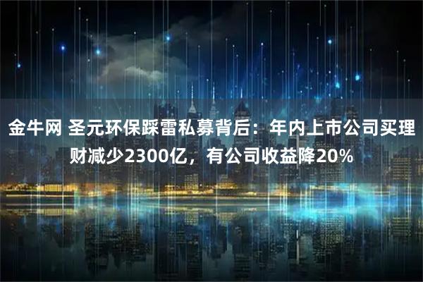 金牛网 圣元环保踩雷私募背后：年内上市公司买理财减少2300亿，有公司收益降20%