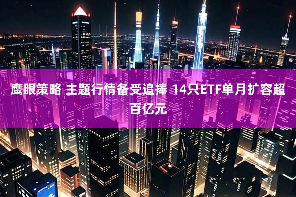 鹰眼策略 主题行情备受追捧 14只ETF单月扩容超百亿元